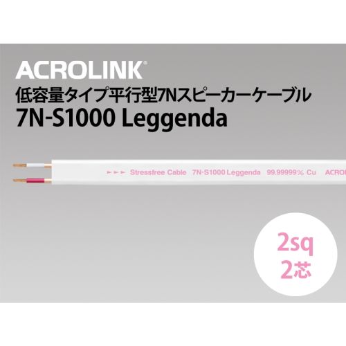 ACROLINK 7N-S1000 Leggenda
