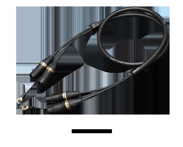 SAEC SCX-5000 image 7